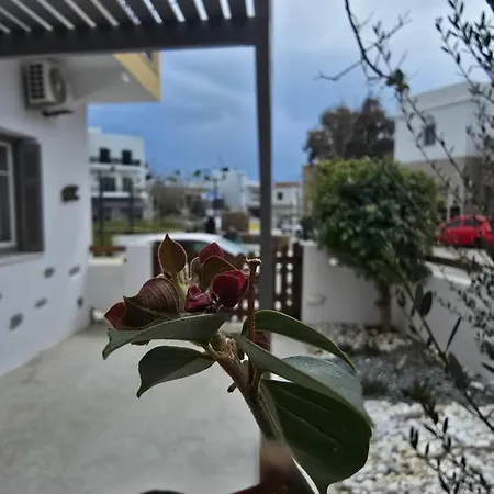 The Garden House Ferienhaus