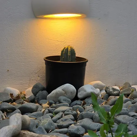 The Garden House Semesterbostad *