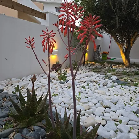 Vakantiehuis The Garden House *