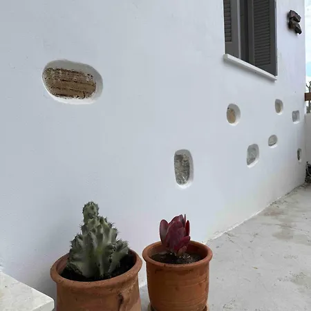 The Garden House