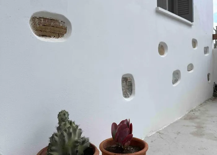 The Garden House